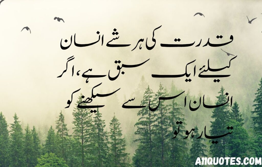 10 Best Quotes On Nature In Urdu