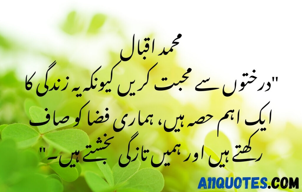 Beautiful Quotes on Trees in Urdu