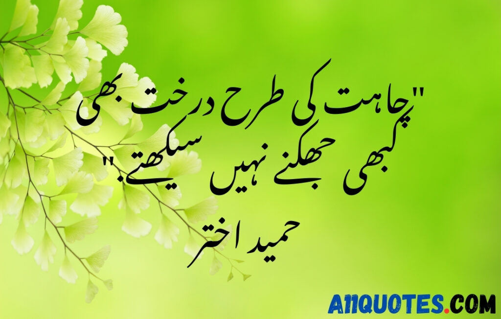 Beautiful Nature Quotes In Urdu