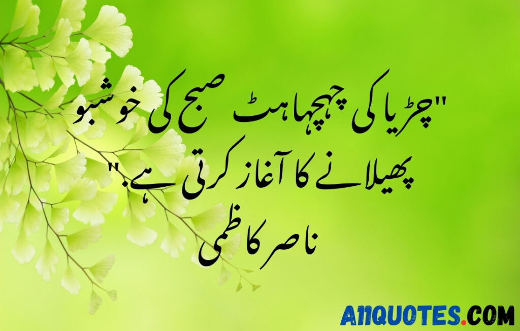 Beautiful Nature Quotes In Urdu