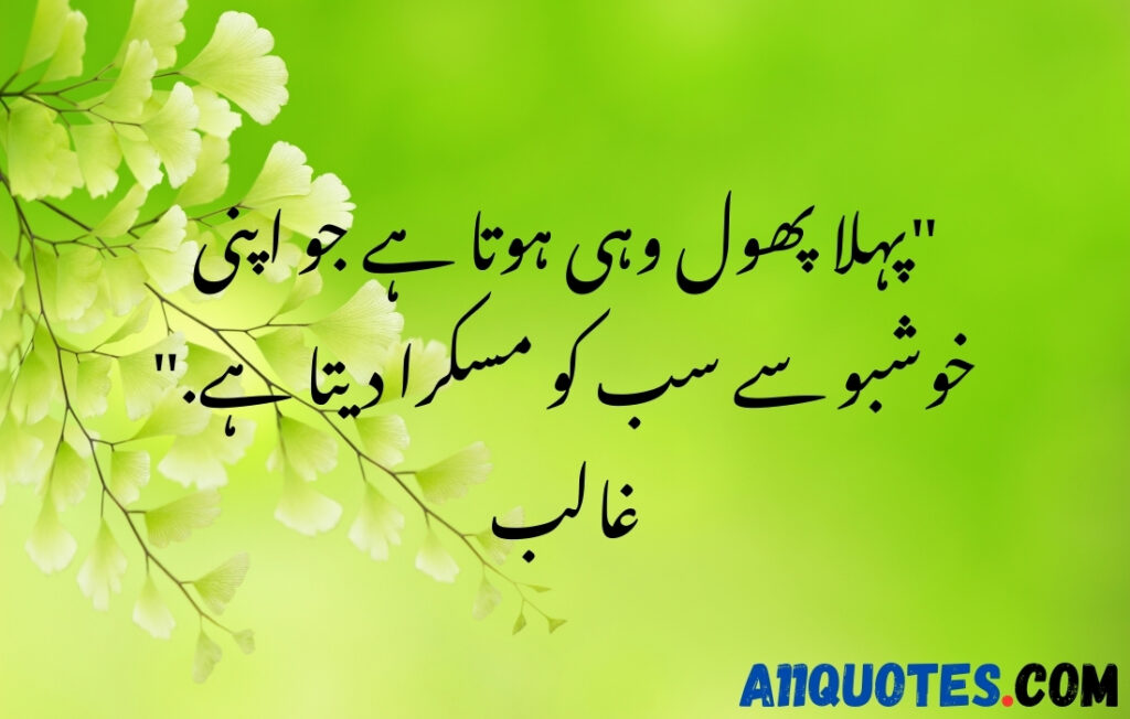 Beautiful Nature Quotes In Urdu