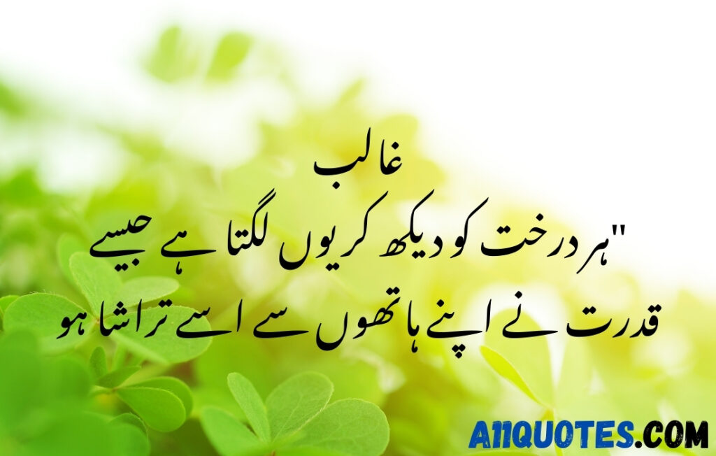 Beautiful Quotes on Trees in Urdu