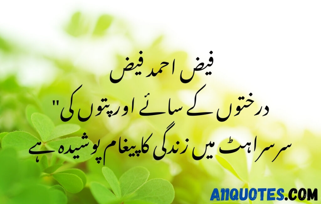 Beautiful Quotes on Trees in Urdu