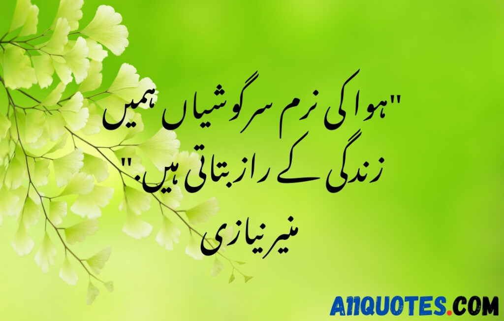 Beautiful Nature Quotes In Urdu