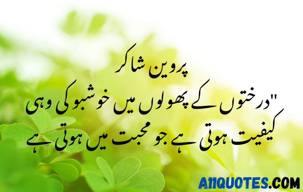 Beautiful Quotes on Trees in Urdu