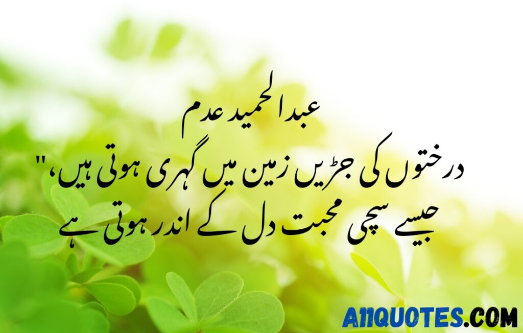 Beautiful Quotes on Trees in Urdu