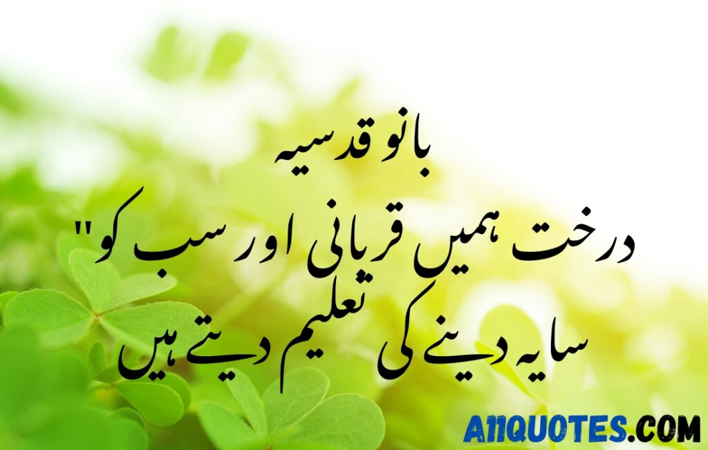 Beautiful Quotes on Trees in Urdu