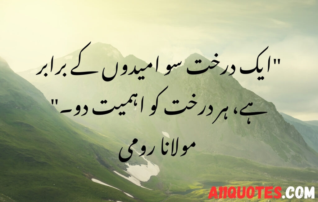 Beautiful Environment Quotes in Urdu