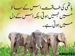Urdu Quotes About Elephants