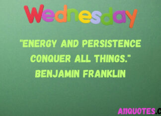 Wednesday Quotes to Help You Tackle the Wednesday Wall