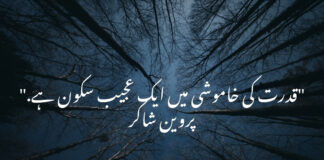 Deep Nature Quotes in Urdu