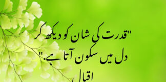 Beautiful Nature Quotes In Urdu