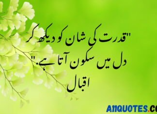 Beautiful Nature Quotes In Urdu