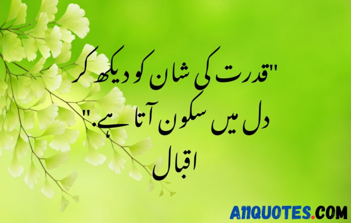 Beautiful Nature Quotes In Urdu