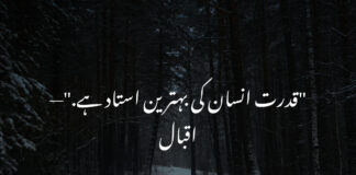 Short Quotes About Nature in Urdu