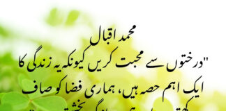 Beautiful Quotes on Trees in Urdu