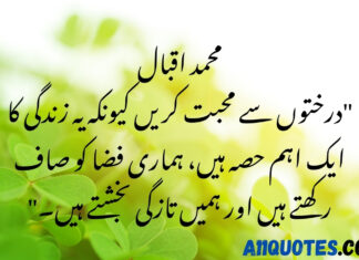 Beautiful Quotes on Trees in Urdu