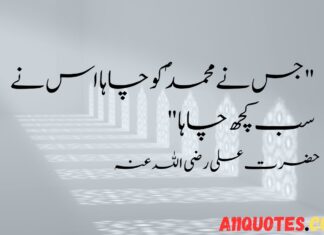 10 Rabi-ul-Awal Quotes in Urdu