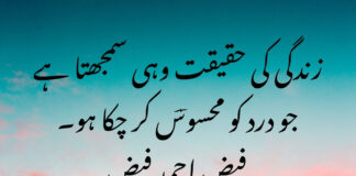 Quotes In Urdu About Life Reality