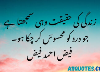 Quotes In Urdu About Life Reality