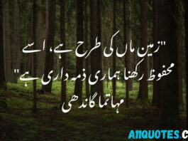 Environment Quotes in Urdu for Students