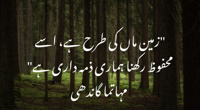 Environment Quotes in Urdu for Students