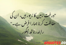 Beautiful Environment Quotes in Urdu