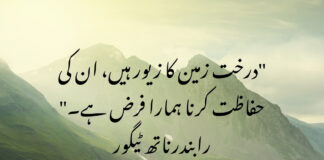 Beautiful Environment Quotes in Urdu