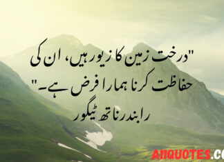 Beautiful Environment Quotes in Urdu