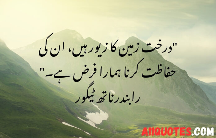 Beautiful Environment Quotes in Urdu