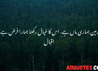 Short Environment Quotes in Urdu