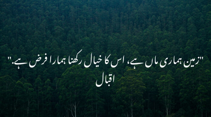 Short Environment Quotes in Urdu