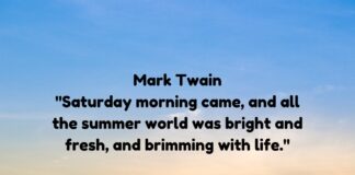 Saturday Morning Quotes