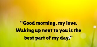 10 Best Morning Quotes For Love
