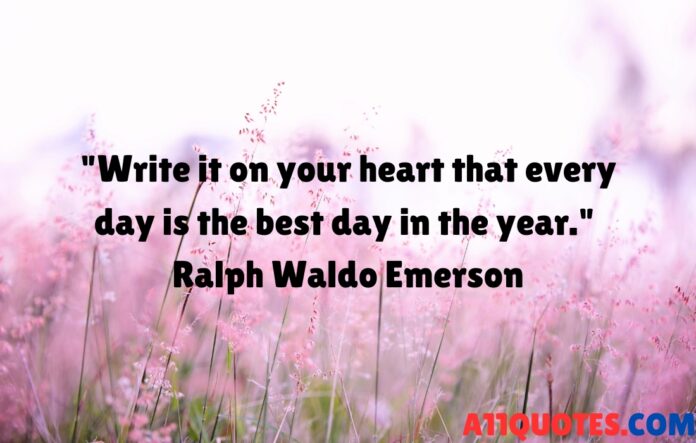 10 Best Good Morning Quotes About Life