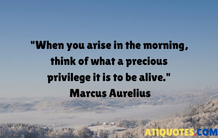 10 Best Short Morning Quotes