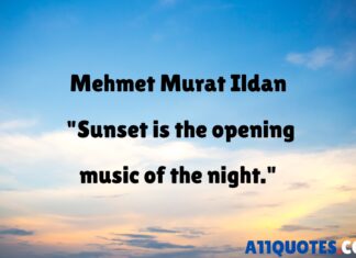 10 Best Sunset Evening Quotes